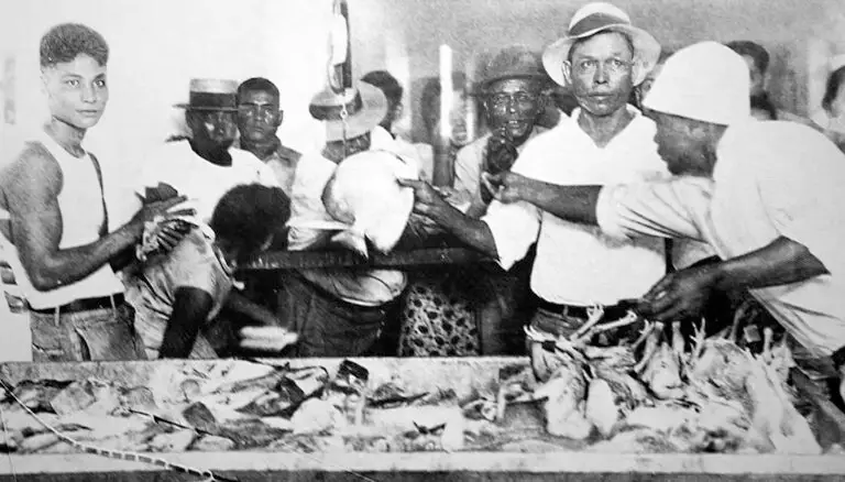 Hagåtña (Agana) Market. Don Farrell's The Sacrifice.