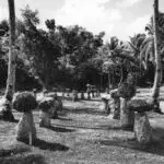 Gougna Latte, Guam 1946