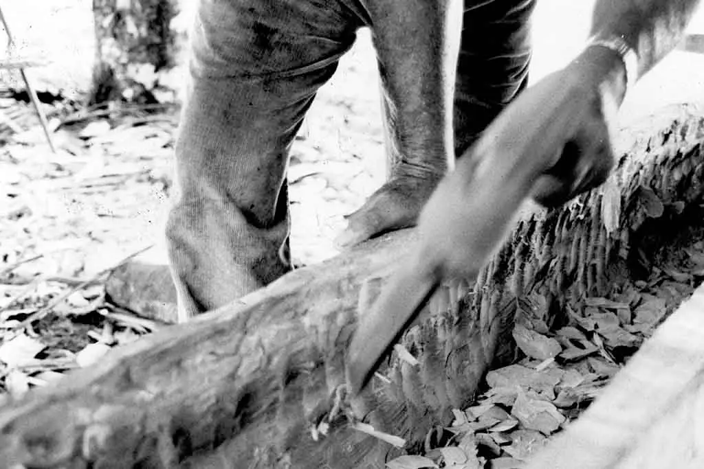 Tun Segundo Working with Adze