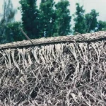 Thatched Roof