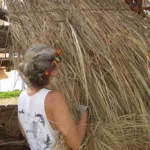 Thatch Assembling
