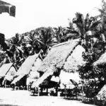 Pole and Thatch Homes