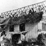 Coconut Leaf Roof Thatching