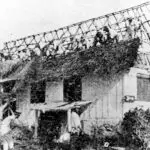 Coconut Leaf Roof Thatching