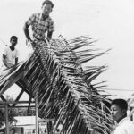 Pupong (Woven Ridge)