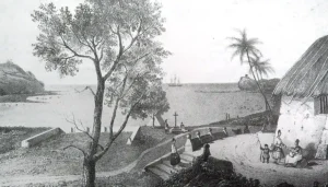 Forts Overview Featured Image