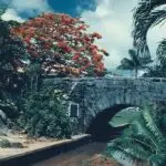 The San Antonio Bridge
