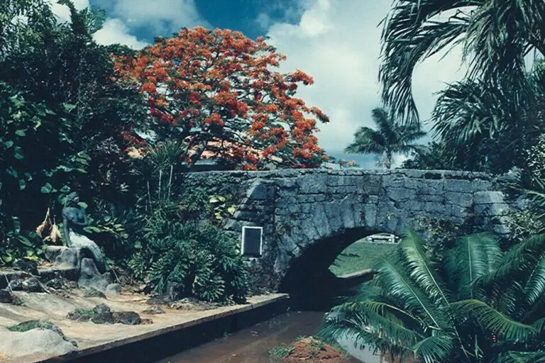 The San Antonio Bridge