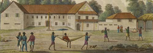 Colegio de San Juan de Letrán, an illustration of caste and possibly the Spanish Forzado System. Courtesy of the Guam Public Library System.