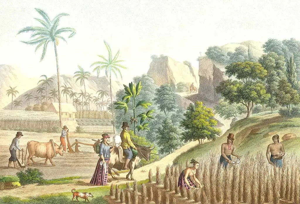 Farming on Guam - Guampedia