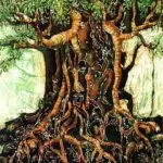 Spirit of the Nunu Tree