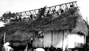 Balanggai Thatching Party