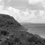 George Tweed's View