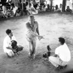 Cockfight 1965