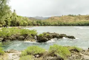 The shoreline of Fouha Bay with the coconut trees lining the jungle.
