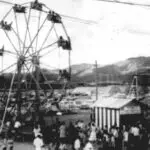 0135-CF 05-Fareswheel2