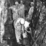 Tweed Cave