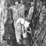 Tweed Cave