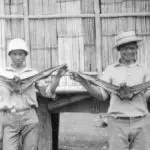 Faniji (Fanihi), 1934