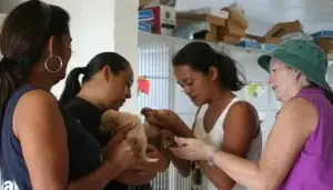 The new members of GAIN. Guampedia photo.