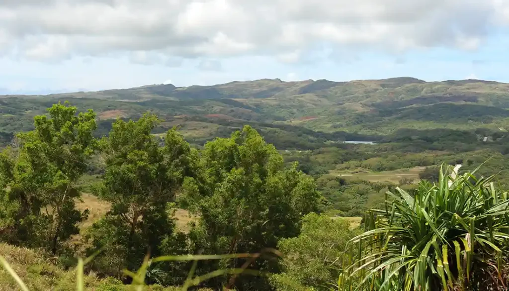 Santa Rita-Sumai. George Miller, 2014