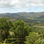 Santa Rita