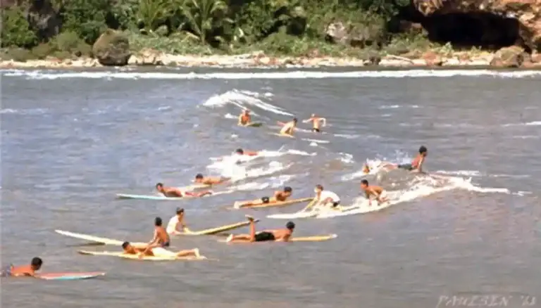 Surfers