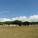 Togcha Cemetery