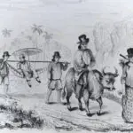 Mayor Traveling