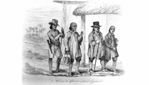 Dumont d'Urville print.