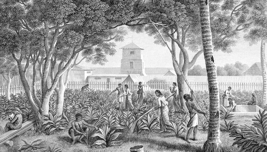 Governor's Garden. Courtesy of the Guam Public Library System.