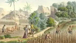 Farming - Guampedia Let Freedom Ring