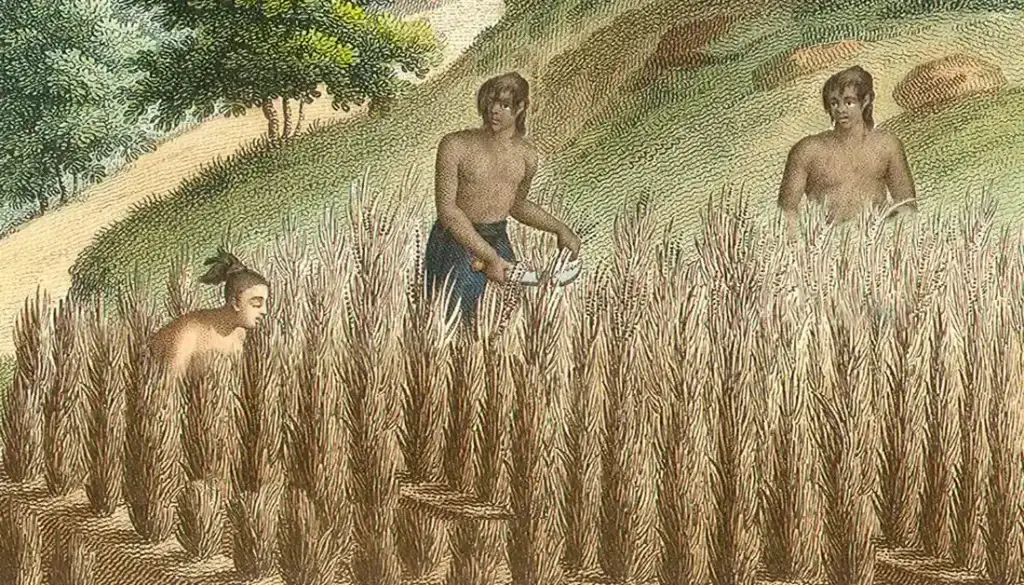 Altered farming image from the Guam Public Library System collection.
