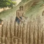 Rice Farming