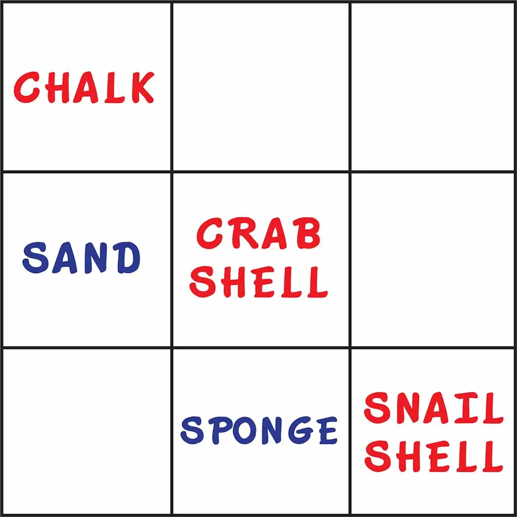 2022 Cone Snail Anatomy Tic Tac Toe Graphic.