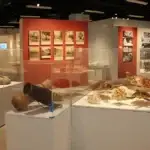 History of the Guam Museum exhibition, 2019. Guam Museum collection.
