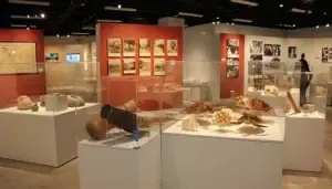 History of the Guam Museum exhibition, 2019. Guam Museum collection.