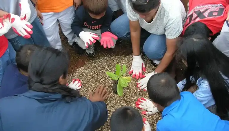 Arbor Day 2006