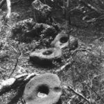 Figure 2 Mortars