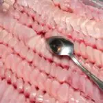 Sashimi: Raw Fish with Wasabi