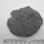Cutting Tool