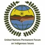 2022 Web UNPFII-logo