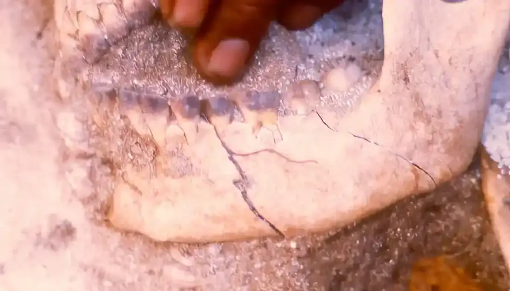 Stained teeth at the "Princess of Ipao" burial. Photo courtesy of the Guam Historic Preservation Division of the Department of Parks and Recreation.