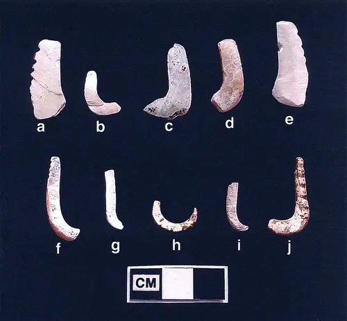 Isognomon Fishhooks