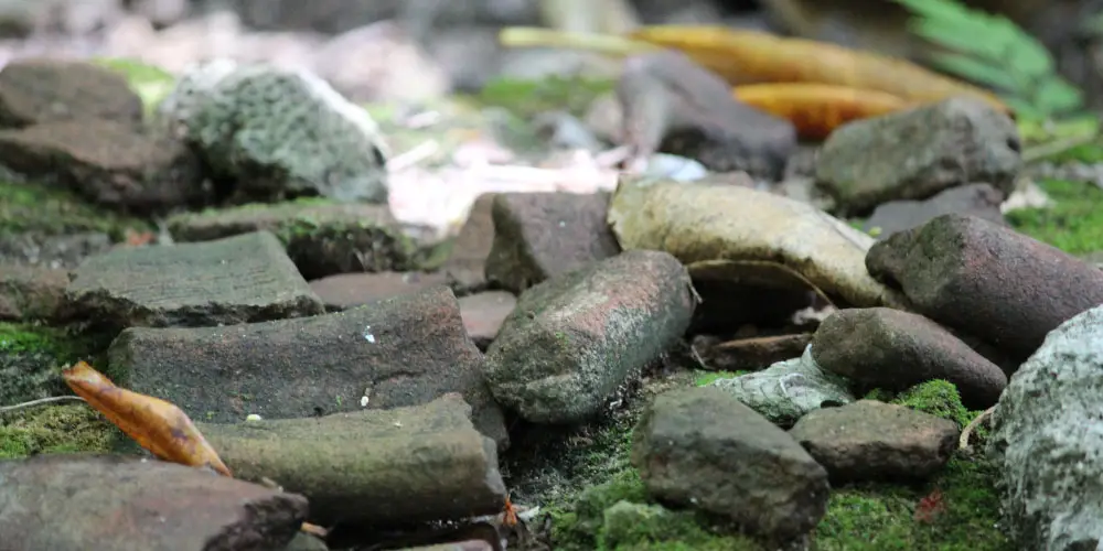 01-Ancient Guam_archie header-01