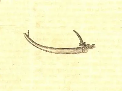 Bone Fish Hook