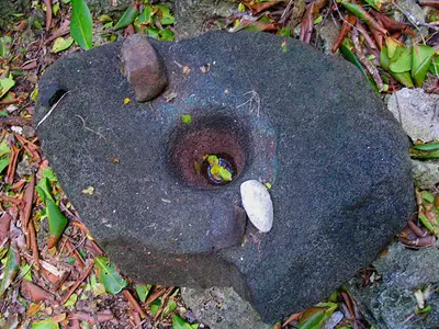 Lusong, adze and scraper