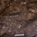 Tarague (Talågi) Pictographs