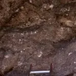 Tarague pictographs