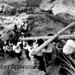 M_Crisostomo04